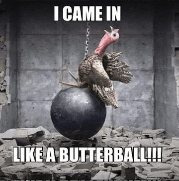 Happy Thanksgiving Meme