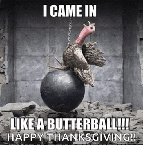 Happy Thanksgiving Meme