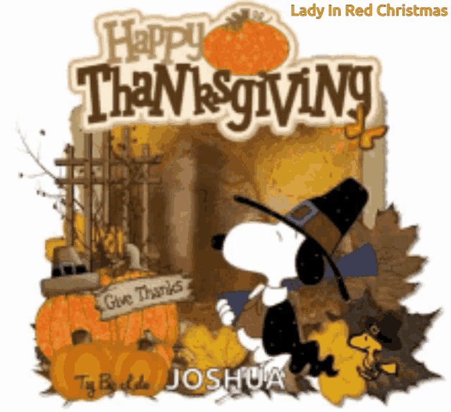 Happy Thanksgiving Thanksgiving GIF