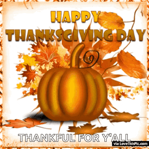 Happy Thanksgiving Thanksgiving GIF