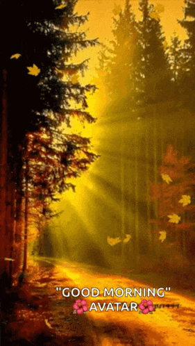 Happy Thanksgiving Thanksgiving Week Is Coming GIF