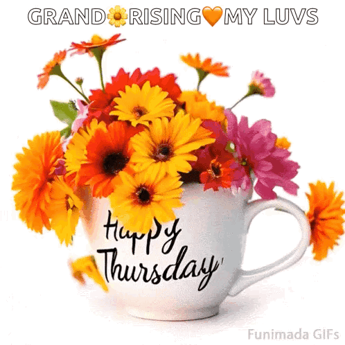 Happy Thursday GIF
