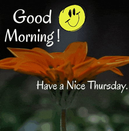 Happy Thursday Friday Eve GIF