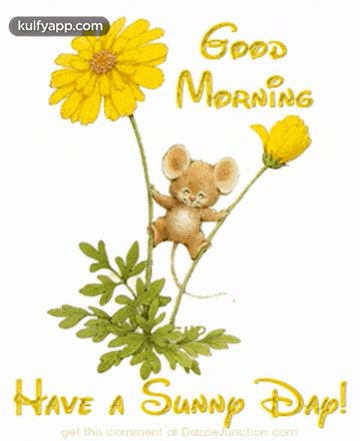 Happy Thursday Good Morning GIF