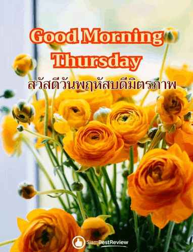 Happy Thursday Greetings Card Meme