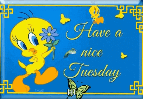 Happy Tuesday GIF
