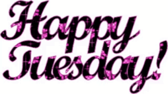 Happy Tuesday GIF