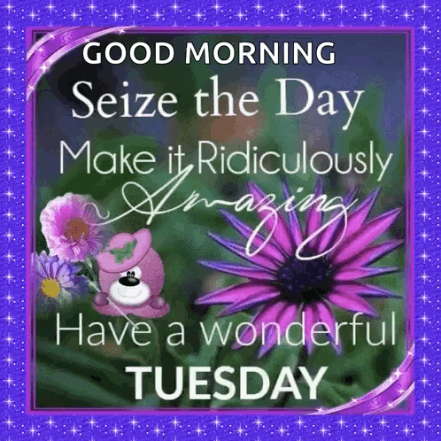Happy Tuesday GIF
