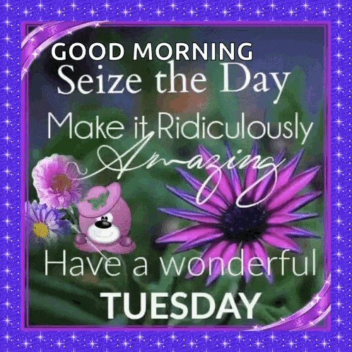 Happy Tuesday GIF