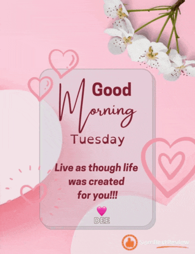 Happy Tuesday Greetings Card Meme