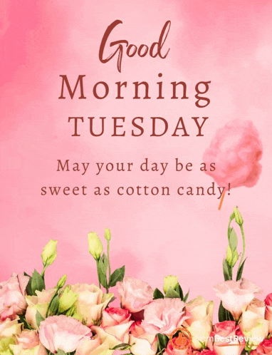 Happy Tuesday Greetings Card Meme