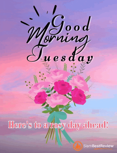 Happy Tuesday Greetings Card Meme