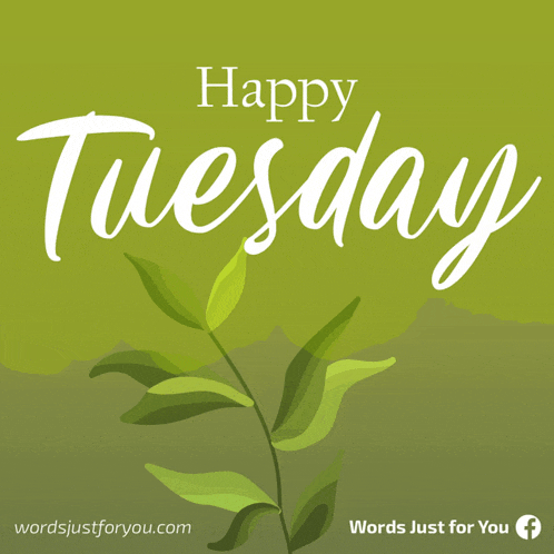 Happy Tuesday Greetings Meme