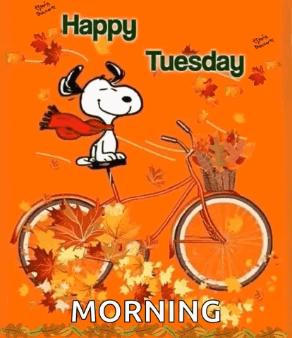Happy Tuesday GIF