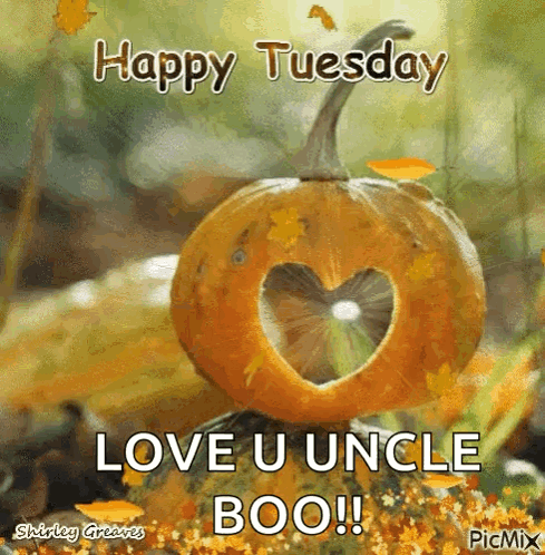 Happy Tuesday Pumpkin GIF