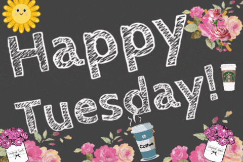 Happy Tuesday GIF