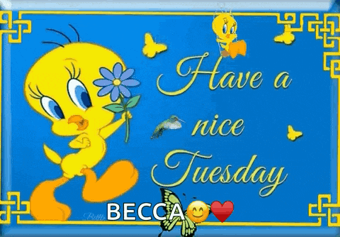 Happy Tuesday GIF