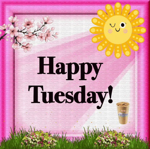 Happy Tuesday GIF