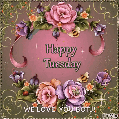 Happy Tuesday GIF