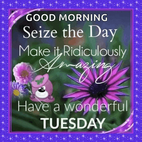 Happy Tuesday GIF