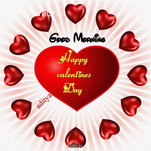Happy Valentines Day वैलेंटाइन्सदिवसमुबारकहो GIF