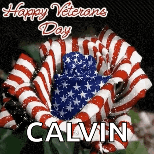 Happy Veterans Day GIF