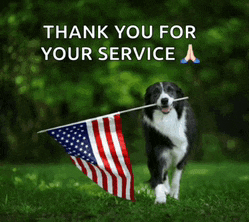 Happy Veterans Day Meme