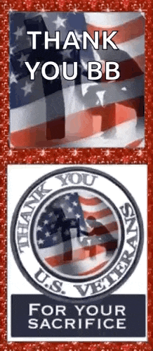 Happy Veterans Day GIF