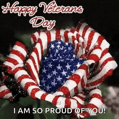 Happy Veterans Day Usa GIF. This 498 x 498 animated GIF is part of our happy veterans day 2024 collection. Created by kcbowers62. View the original…
