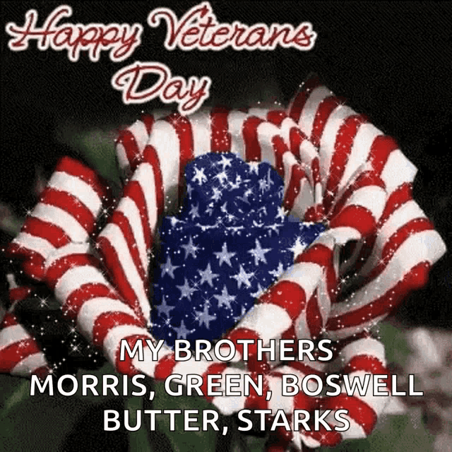 Happy Veterans GIF