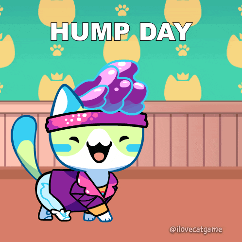 Happy Wednesday Hump Day GIF