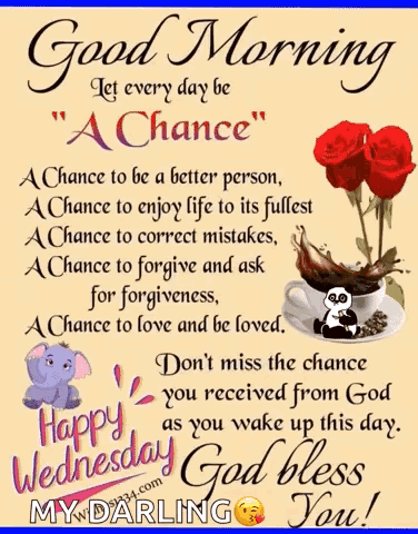 Happy Wednesday GIF