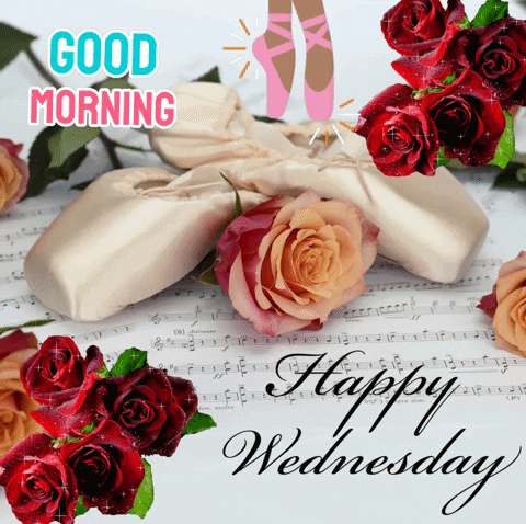 Happy Wednesday GIF. This 480 x 478 animated GIF is part of our guten morgen am mittwoch collection. Related themes include happy wednesday. Created by…
