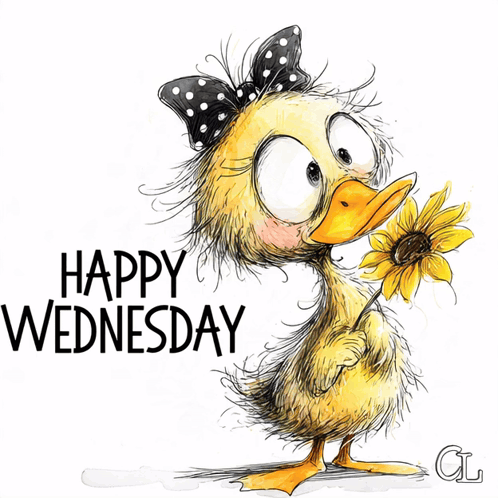 Happy Wednesday Wednesday Greeting GIF