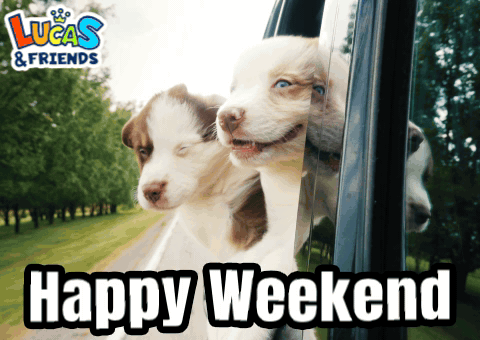 Happy Weekend Happy Weekends GIF. This 480 x 340 animated GIF is part of our immagini buon weekend collection. Related themes include happy weekend, have a…