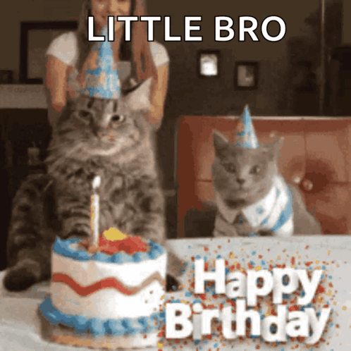 Happy30th Birthday GIF. This 498 x 498 animated GIF is part of our happy birthday little brother collection. Created by Glover5. View the original…