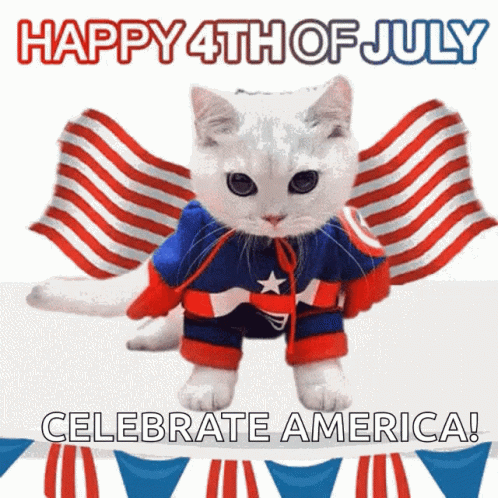 Happy4thjuly America Cat GIF