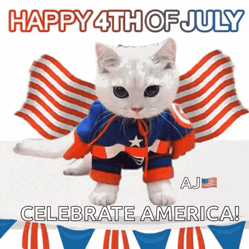 Happy4thjuly America Cat GIF