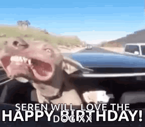 Happybirthday Dog GIF. This 288 x 252 animated GIF is part of our lustiger dienstag collection. Related themes include happybirthday. Created by DebraRees5…