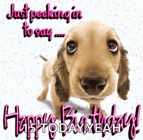 Happybirthday Dog GIF