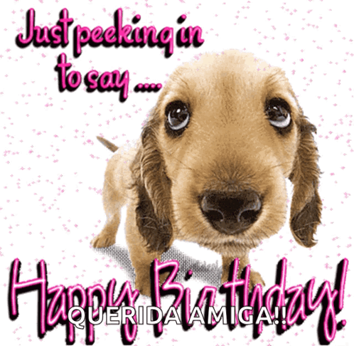 Happybirthday Dog GIF. This 498 x 486 animated GIF is part of our happy birthday puppy collection. Related themes include cute, happybirthday. Created by…