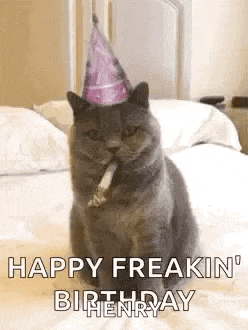 Happybirthday Funnyanimals GIF