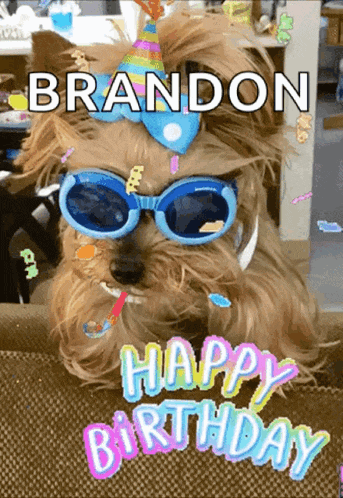 Happybirthday Partyhat GIF
