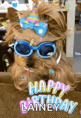 Happybirthday Partyhat GIF