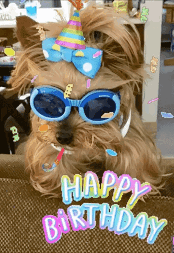 Happybirthday Partyhat GIF