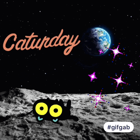 Happycaturday Everydayiscaterday GIF