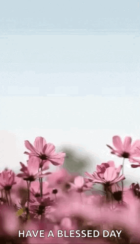Happymothersday Flowers GIF