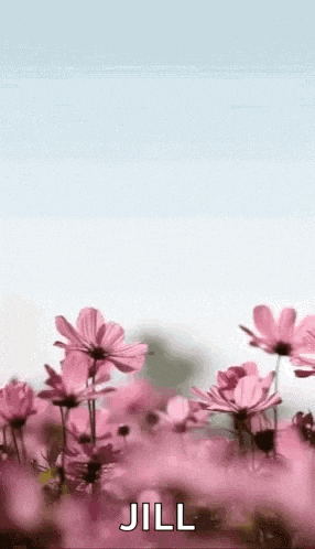 Happymothersday Momsday GIF