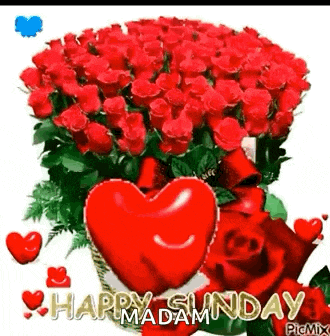 Happysunday Bouquet GIF