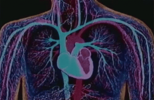 Hardcore Terrorcore GIF